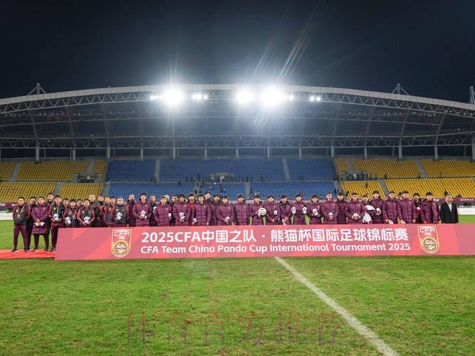 2017年熊猫杯国际青少年足球发展研讨会召开